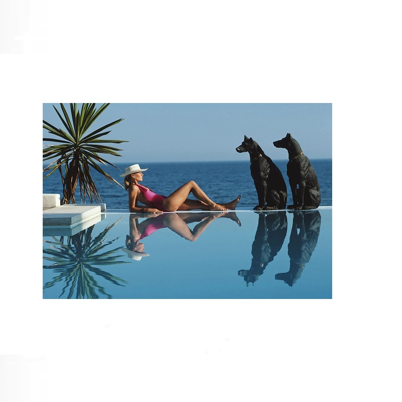 Retro Poolside Host Luxury Lif - Luxury Lifestyle Pictures avaliação e preço
